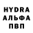 Конопля сатива Zack Spurway