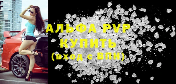 индика Верхний Тагил