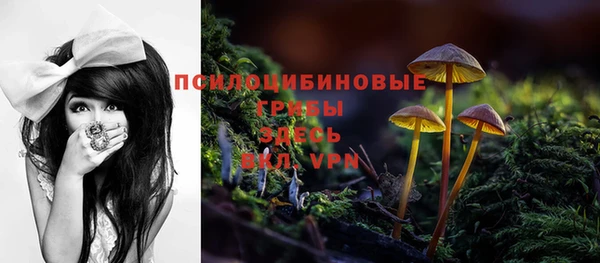PSILOCYBIN Вязьма