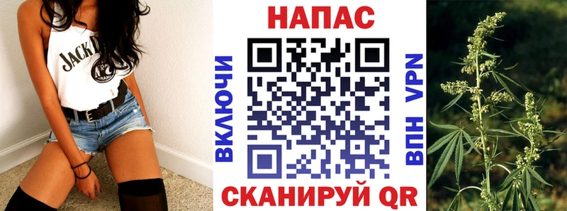 дарнет шоп  Далматово  MEGA ONION  МАРИХУАНА планчик 